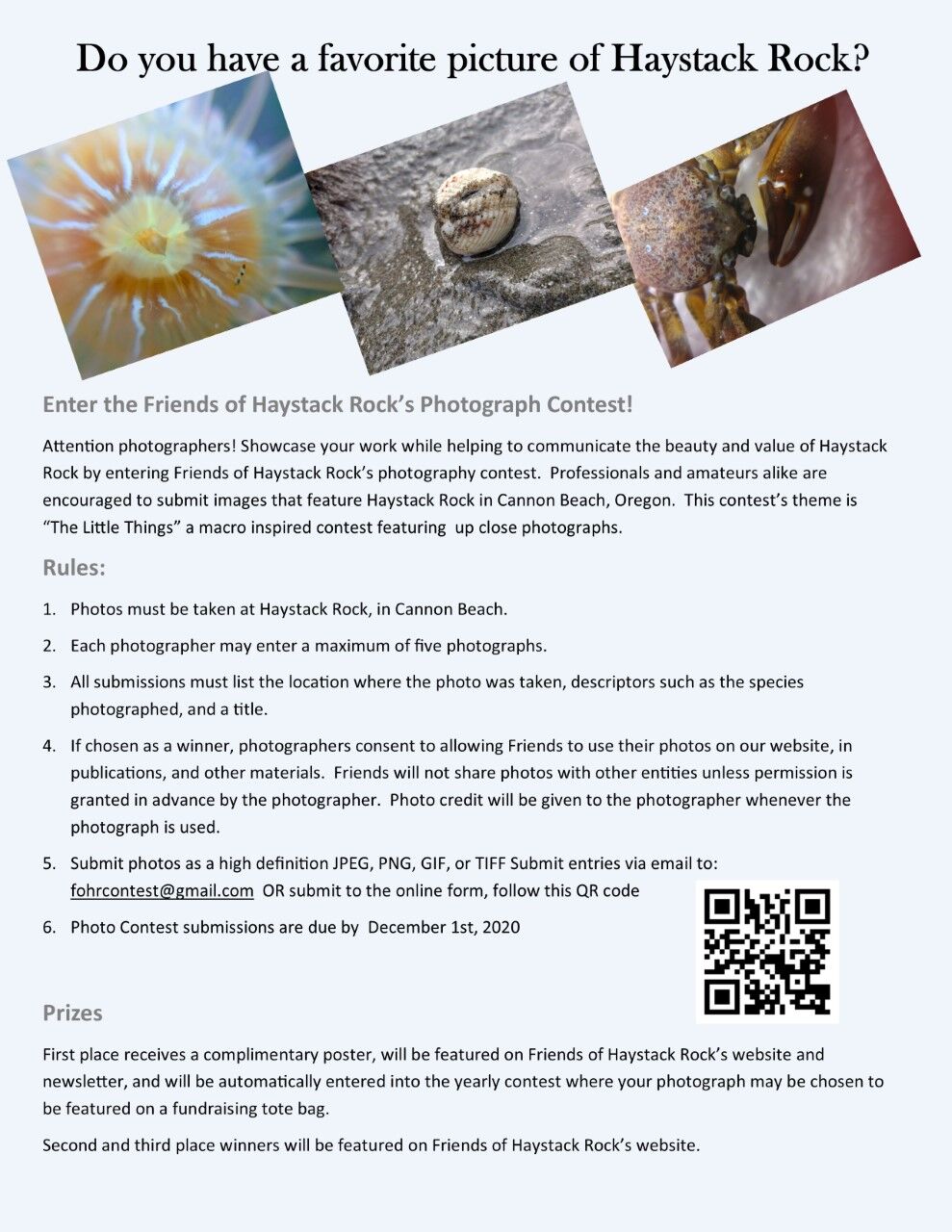 Photo contest